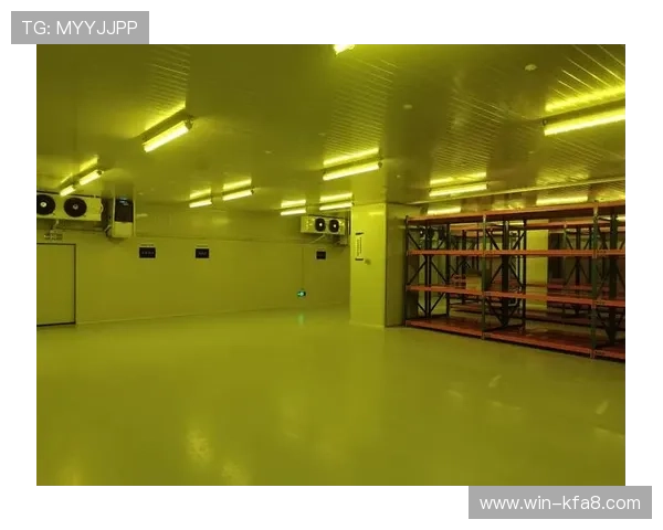 K8凯发集团官网的客户服务体系与在线支持服务全景展示