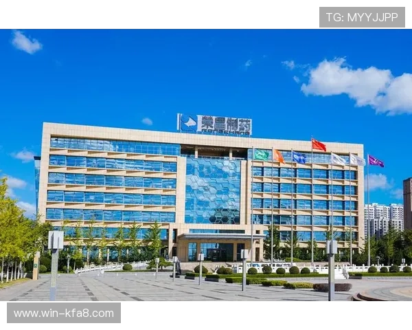 K8凯发线上官方入口最新版本下载指南，确保您使用的是最稳定的登录渠道